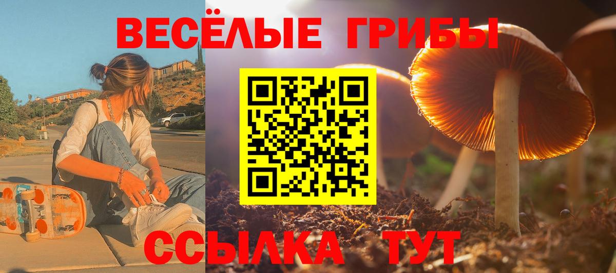 Псилоцибиновые грибы Psilocybe  Вход с VPN  Миасс  Галлюциногенные грибы прущие грибы 